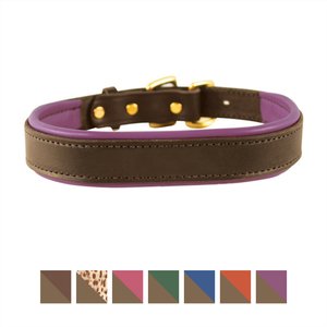 Perri’s Havana Padded Leather Dog Collar, Purple, X-Small