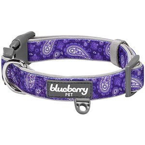 Blueberry Pet Paisley Print Polyester Dog Collar, Violet, Small: 12 to 16-in neck, 5/8-in wide