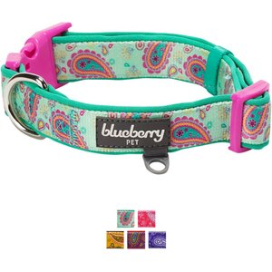 Blueberry Pet Paisley Print Polyester Dog Collar, Emerald Green, Small: 12 to 16-in neck, 5/8-in wide