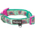 Blueberry Pet Paisley Print Polyester Dog Collar, Emerald Green, Medium: 14.5 to 20-in neck, 3/4-in wide