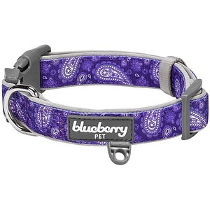 Blueberry Pet Paisley Print Polyester Dog Collar, Violet, Large: 18 to 26-in neck, 1-in wide