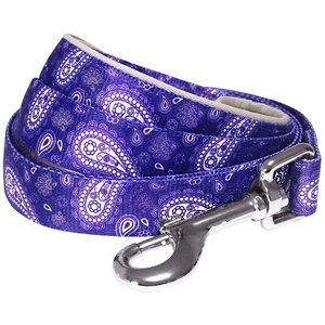 Blueberry Pet Paisley Print Polyester Dog Leash, Violet, Small: 5-ft long, 5/8-in wide