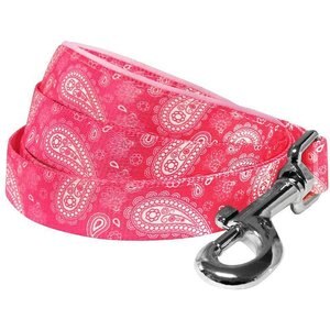Blueberry Pet Paisley Print Polyester Dog Leash, Pink, Medium: 5-ft long, 3/4-in wide