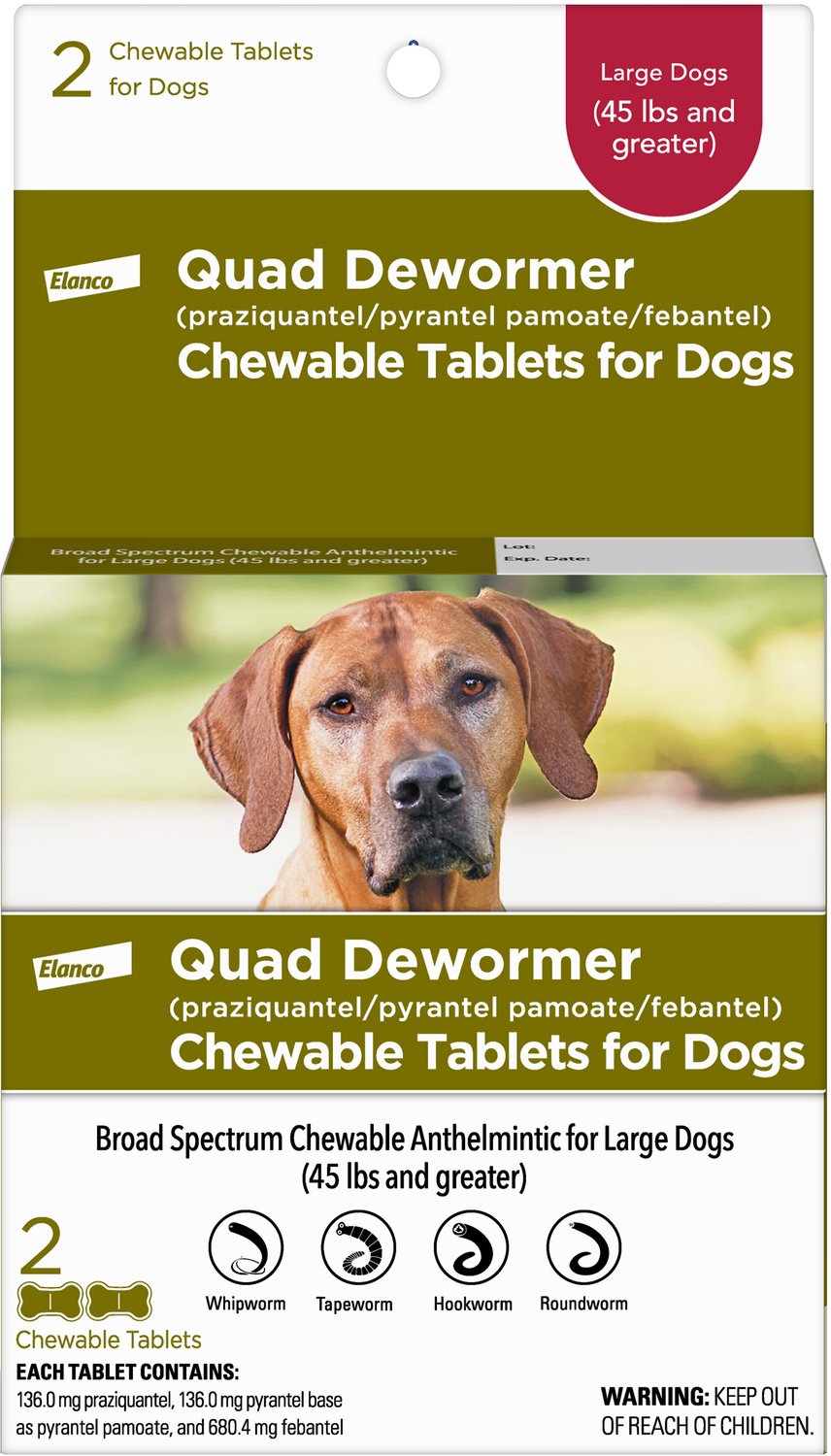 Quad Dewormer for Large Dogs