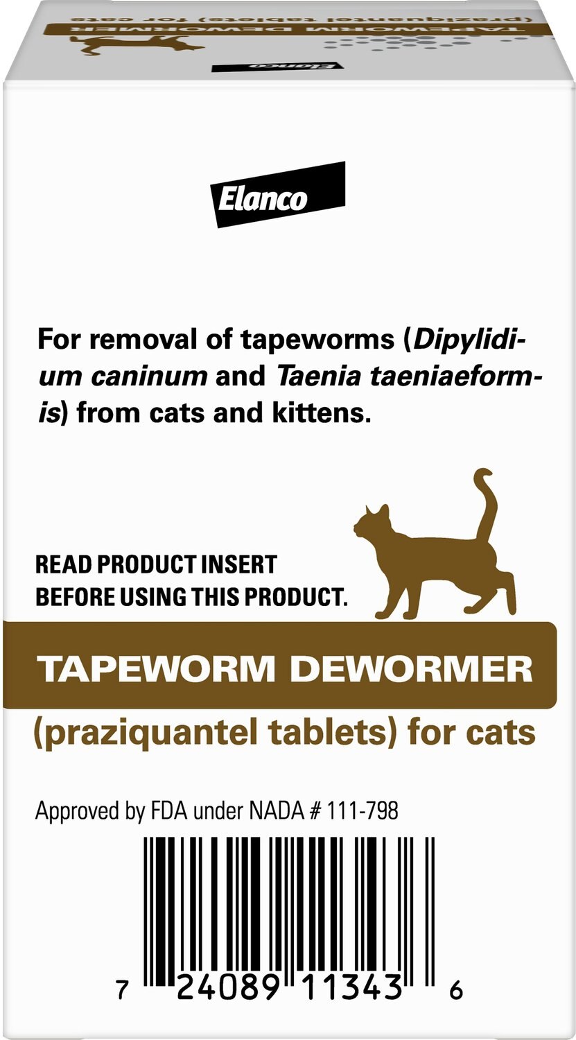 worm meds for kittens