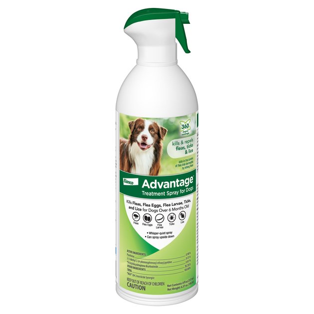 ADVANTAGE Flea & Tick Treatment Spray for Dogs, 8-oz bottle - Chewy.com