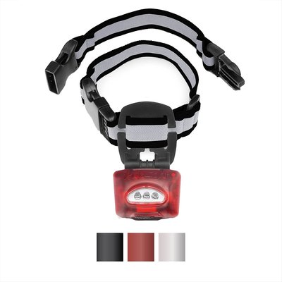 Puplight 2 Reflective Dog Safety Collar, slide 1 of 1