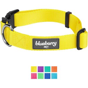 Blueberry Pet Classic Solid Nylon Dog Collar, Blazing Yellow, X-Small: 8 to 11-in neck, 3/8-in wide