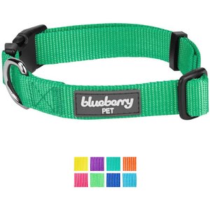 Blueberry Pet Classic Solid Nylon Dog Collar, Emerald, Small: 12 to 16-in neck, 5/8-in wide