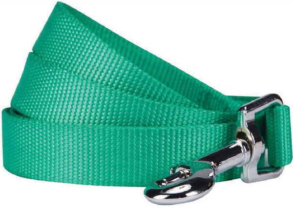 Blueberry Pet Classic Solid Nylon Dog Leash, Emerald, Medium: 5-ft long, 3/4-in wide slide 1 of 6