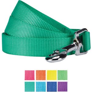 Blueberry Pet Classic Solid Nylon Dog Leash, Emerald, Large: 4-ft long, 1-in wide
