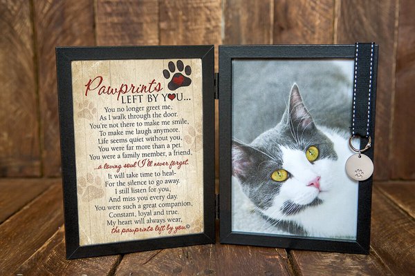 Dog Cat Pet Memorial Picture Frame PawPrint Rainbow Bridge Forever In Our Hearts