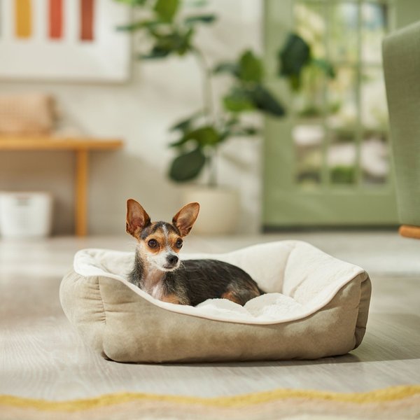 Frisco Rectangular Bolster Cat & Dog Bed, Khaki Green, Small slide 1 of 5