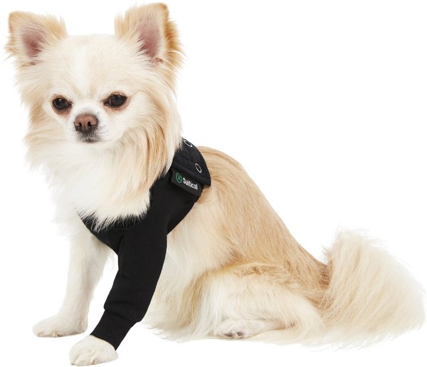 Suitical Recovery Sleeve for Dogs, Black, XX-Small slide 1 of 7