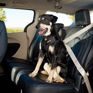 EzyDog Drive Dog Car Harness, Medium