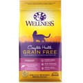 Wellness Complete Health Natural Grain Free Salmon & Herring Dry Cat Food, 5.5-lb bag