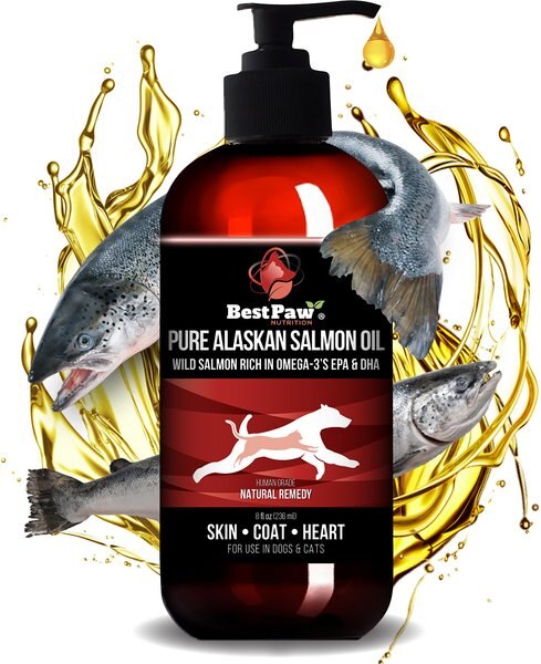 Best Paw Nutrition Pure Alaskan Salmon Oil Dog & Cat Supplement, 8-oz bottle slide 1 of 9