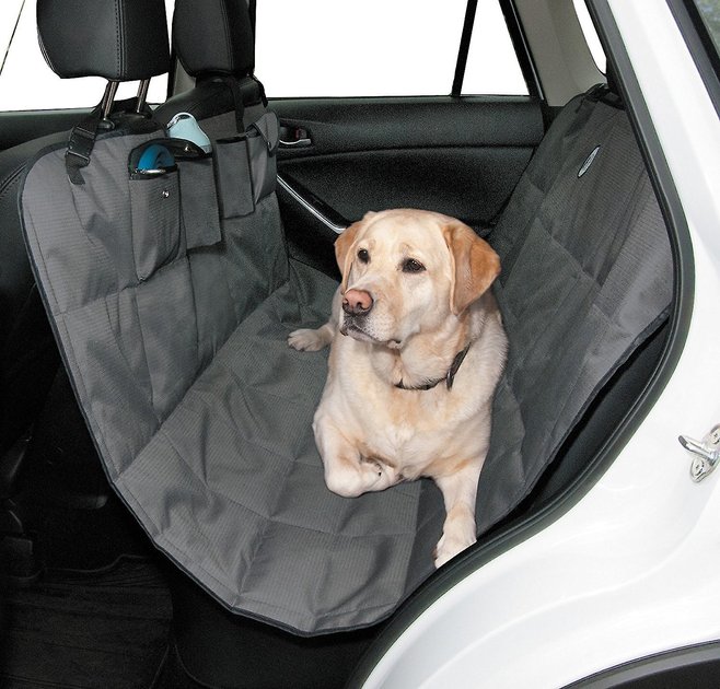 Dog is Good Hammock Car Seat Cover, Grey - Chewy.com