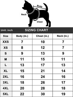 Chewy Size Chart