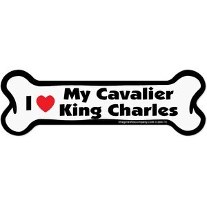 Imagine This Company Bone Magnet, Cavalier King Charles