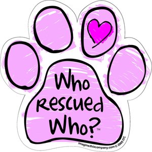 Imagine This Company "Who Rescued Who?" Magnet, Paw Shape, Pink