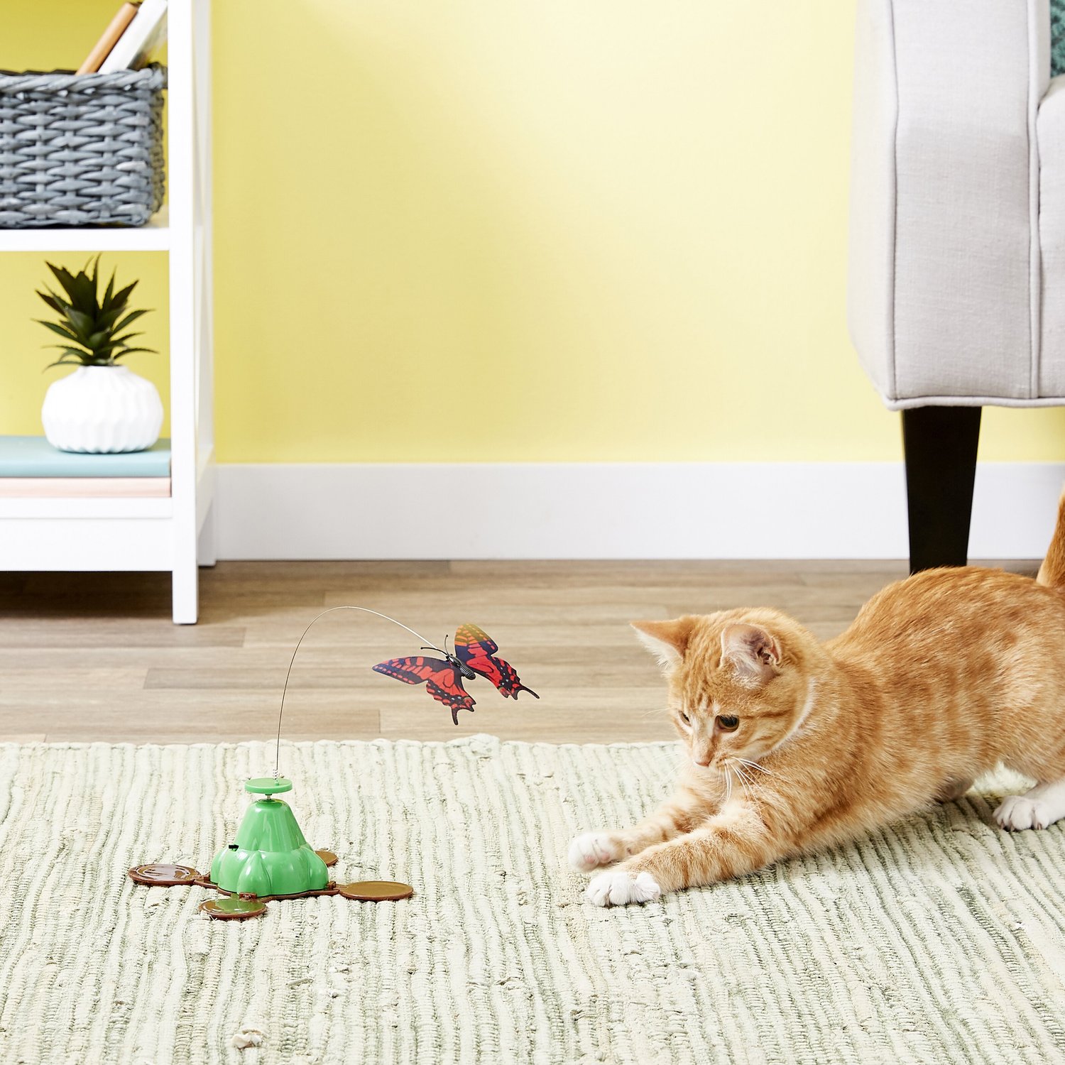 Cat playing with interactive toy