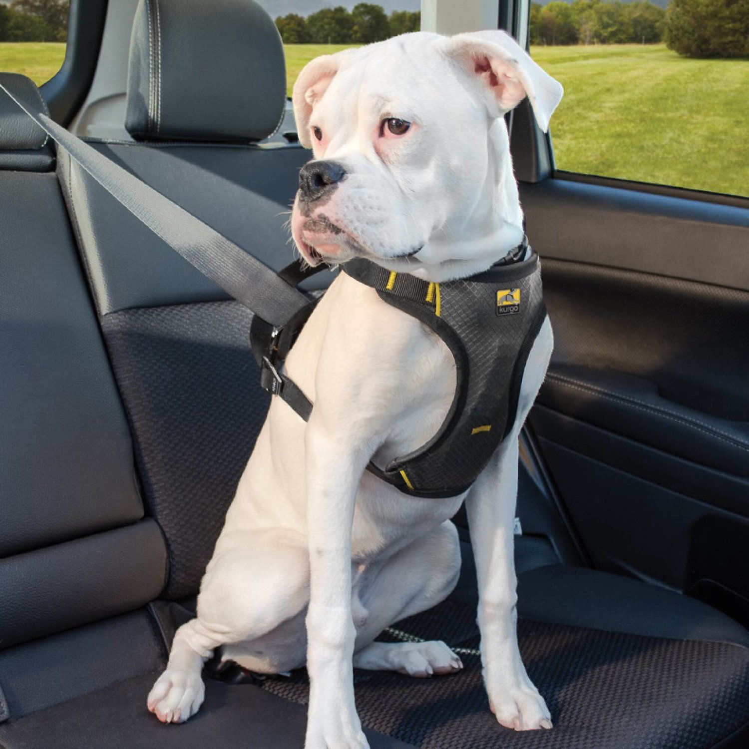Kurgo Impact Car Safety Dog Harness, X-Large - Chewy.com