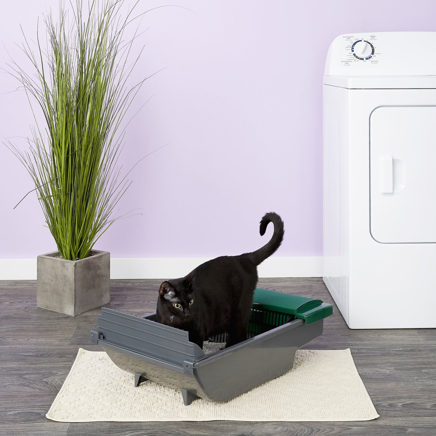 10 Best Self-Cleaning Litter Boxes of 2024, Tested and Reviewed