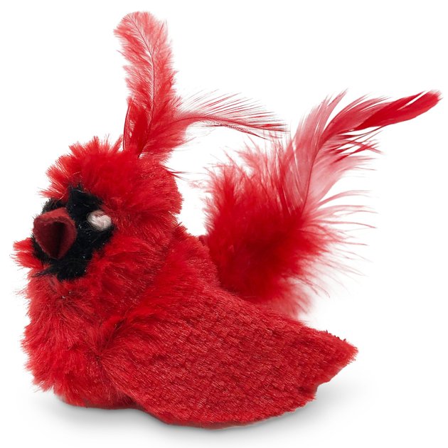 OurPets Play-N-Squeak Real Birds Cardinal Cat Toy - Chewy.com