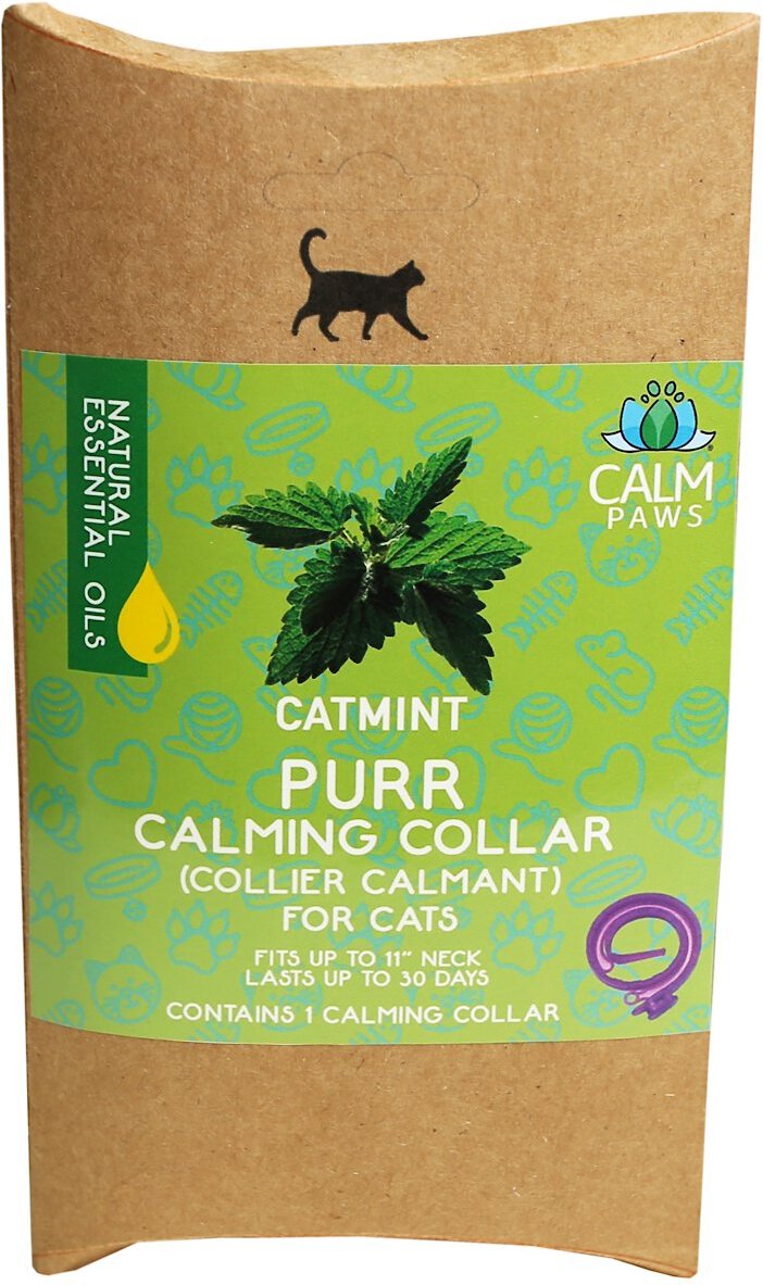 CALM PAWS Calming Cat Collar - Chewy.com