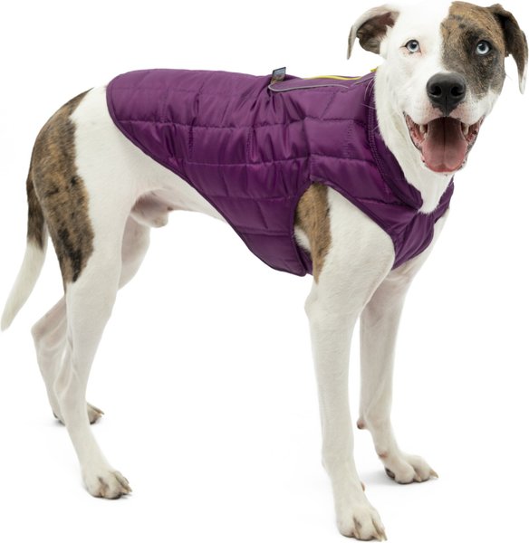 Kurgo Loft Reversible Insulated Dog Quilted Coat, Purple, Medium slide 1 of 11