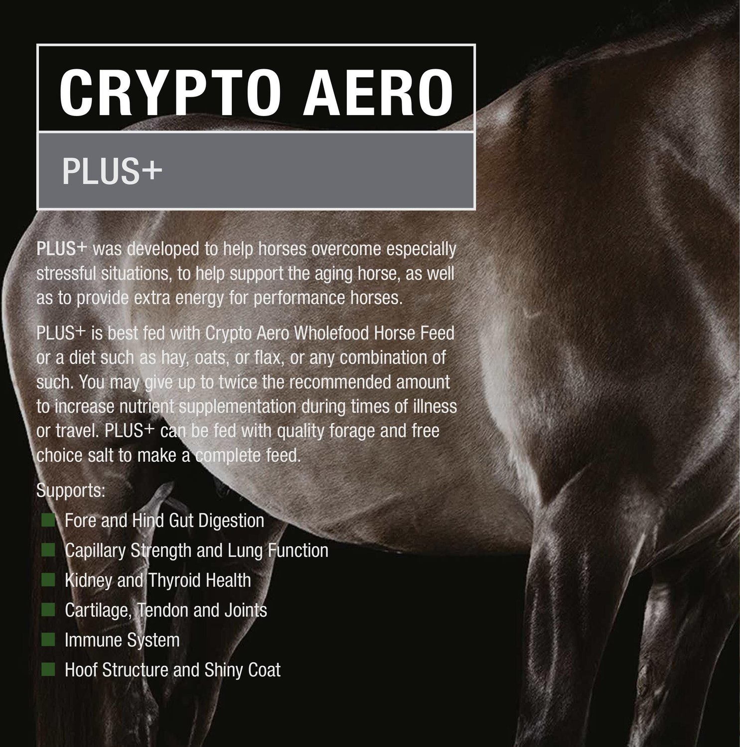 crypto aero plus reviews