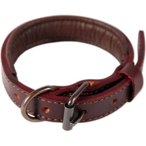 Logical Leather Padded Dog Collar, Brown, Small