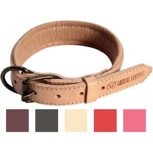Logical Leather Padded Dog Collar, Tan, Medium