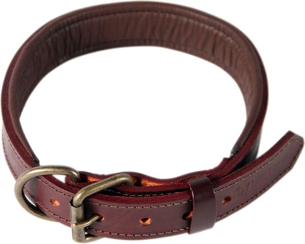 Logical Leather Padded Dog Collar, Brown, Large slide 1 of 7