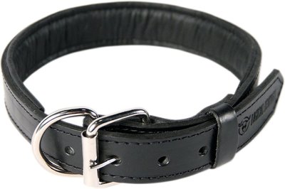 Logical Leather Padded Dog Collar, slide 1 of 1