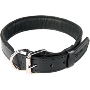 Logical Leather Padded Dog Collar, Black, Large