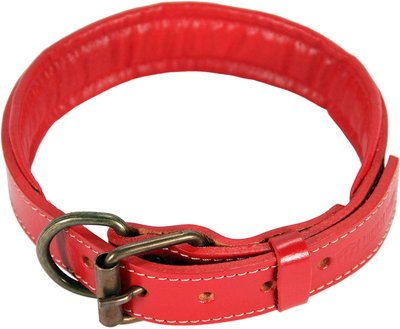 Logical Leather Padded Dog Collar, slide 1 of 1