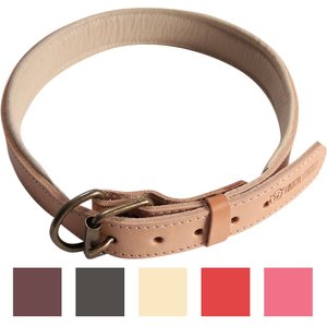 Logical Leather Padded Dog Collar, Tan, X-Large