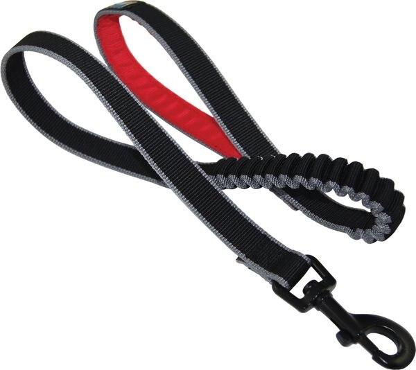 Kurgo Springback Polyester Bungee Running Dog Leash, 3-ft long, 1-in wide slide 1 of 6