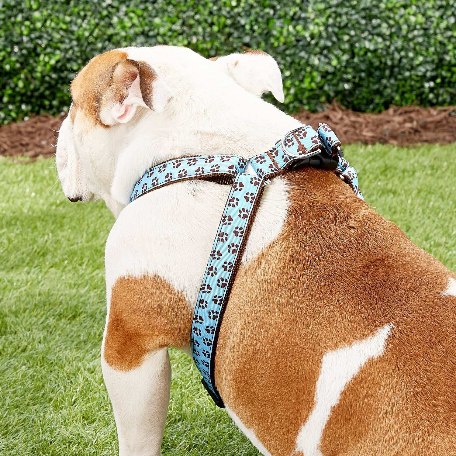 Sassy Dog Wear Puppy Paws Dog Harness, Blue & Brown, Large - Chewy.com