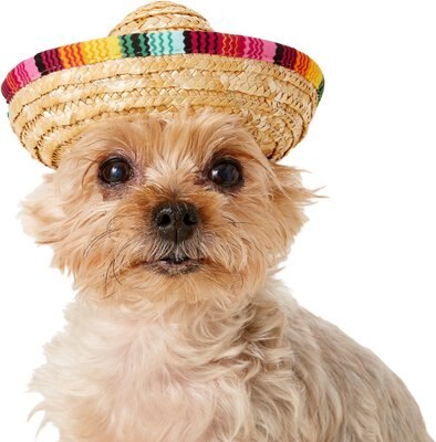 Rubie's Costume Company Multi-Colored Dog & Cat Sombrero, slide 1 of 1