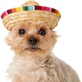 Rubie's Costume Company Multi-Colored Dog & Cat Sombrero, Small/Medium