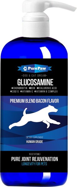 Best Paw Nutrition Premium Dream Glucosamine Joint Support Dog & Cat Liquid Supplement, Bacon Flavor, 16-oz slide 1 of 6