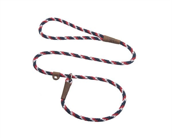 Mendota Products Small Slip Striped Rope Dog Leash, Pride, 4-ft long, 3/8-in wide slide 1 of 5
