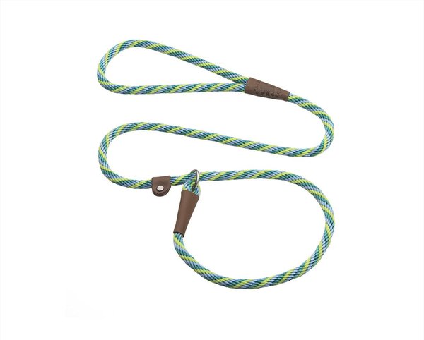Mendota Products Small Slip Striped Rope Dog Leash, Seafoam, 6-ft long, 3/8-in wide slide 1 of 5