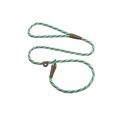 Mendota Products Small Slip Striped Rope Dog Leash, Seafoam, 6-ft long, 3/8-in wide