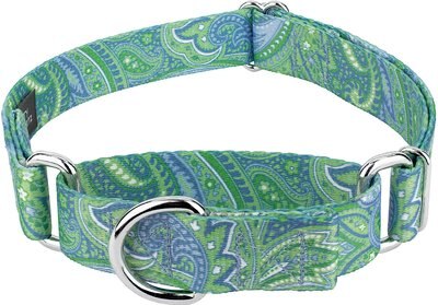 Country Brook Design Paisley Polyester Martingale Dog Collar, slide 1 of 1