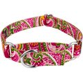 Country Brook Design Paisley Polyester Martingale Dog Collar, Pink, Small: 11 to 15-in neck, 5/8-in wide