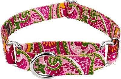 Country Brook Design Paisley Polyester Martingale Dog Collar, slide 1 of 1